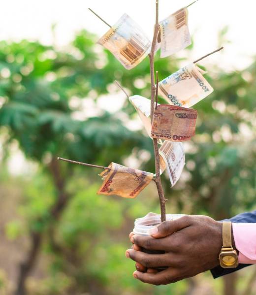african businessman holding a money tree outdoors